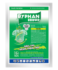 BYPHAN 800WP