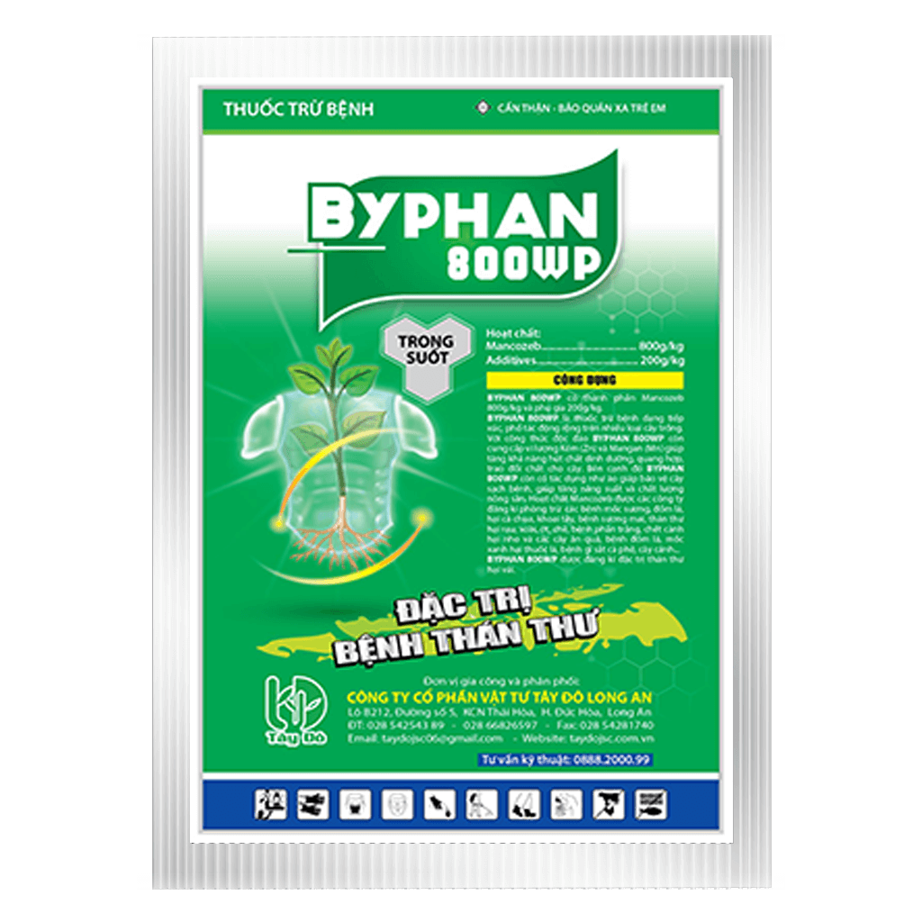 BYPHAN 800WP